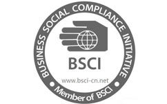 哪些审核公司能够审BSCI？