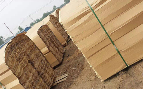 中国国家森林认证行业标准发布