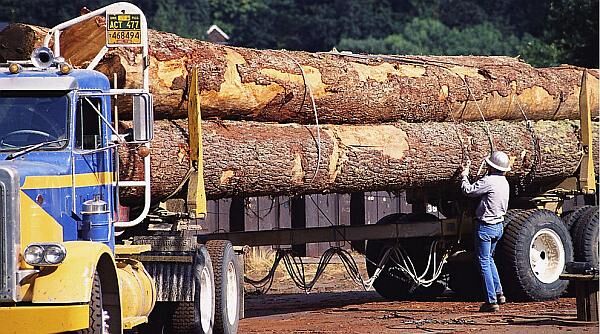 FSC森林认证审核的效益主要表现在哪些方面？