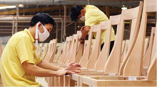 什么背景下提出了:森林认证（F S C）