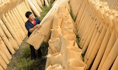 FSC认证解疑：在国内如何进行FSC资格认证申请办理