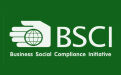 BSCI审核