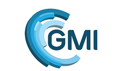 GMI认证的评分标准？