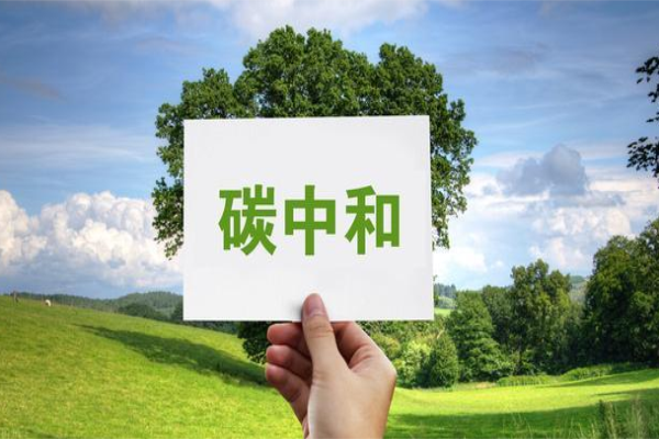 ccer重启最新消息