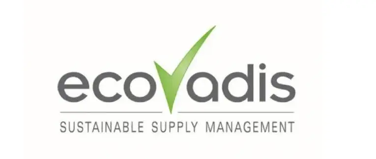 EcoVadis的解决方案能够为我的公司带来哪些优势？